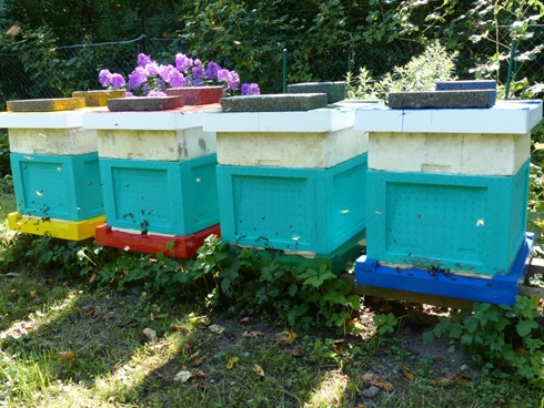 Styroporbeuten im Frühjahr