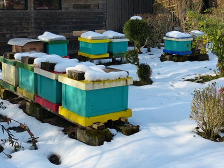 Styroporbeuten im Winter